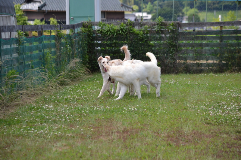 f:id:reeyan:20130617112209j:image f:id:reeyan:20130617112209j:image