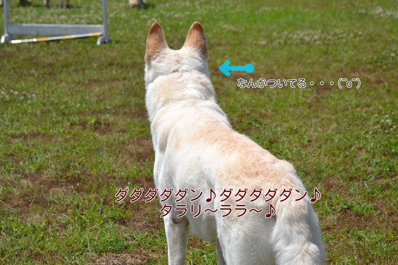 f:id:reeyan:20130617121530p:image f:id:reeyan:20130617121530p:image