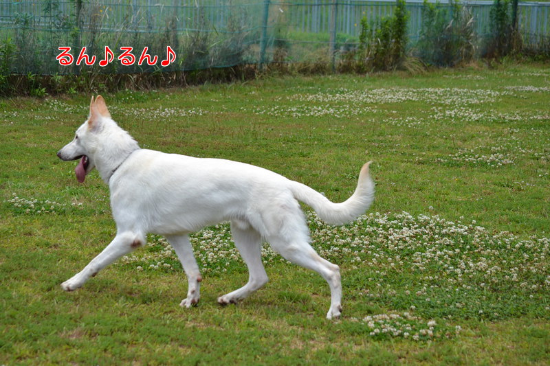 f:id:reeyan:20130617121840j:image f:id:reeyan:20130617121840j:image