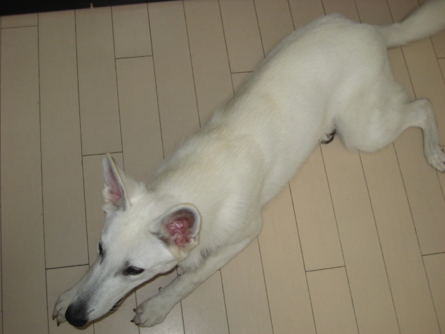 f:id:reeyan:20130824062116j:image