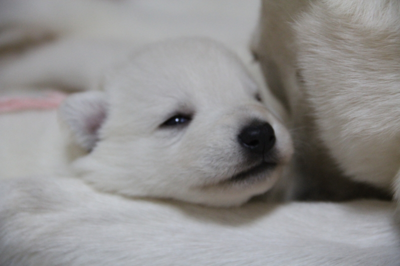 f:id:reeyan:20130824062120j:image