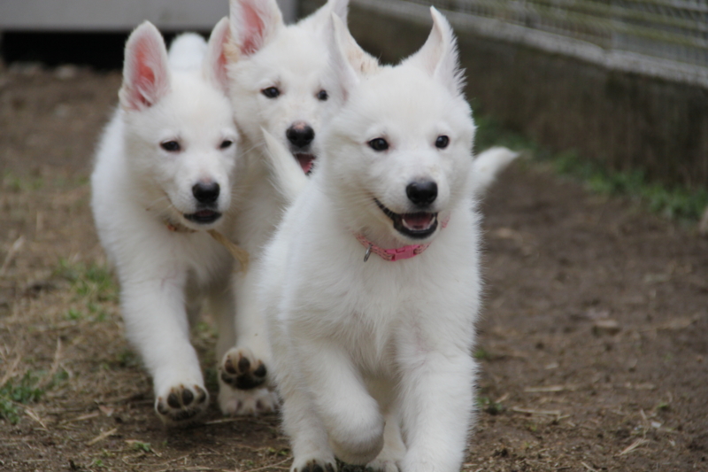 f:id:reeyan:20130824062123j:image