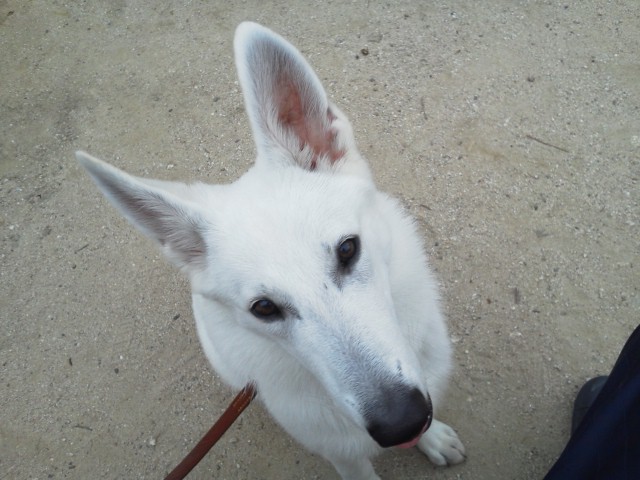 f:id:reeyan:20130824062125j:image