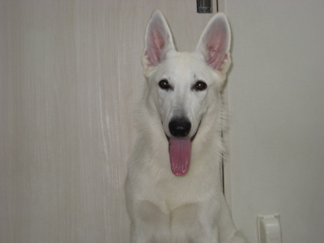 f:id:reeyan:20130824062126j:image