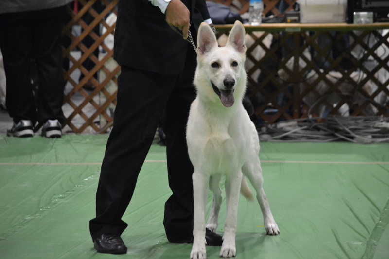 f:id:reeyan:20130924093013j:image f:id:reeyan:20130924093013j:image