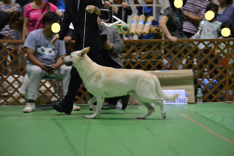 f:id:reeyan:20130924093411j:image f:id:reeyan:20130924093411j:image