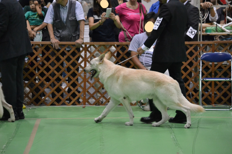 f:id:reeyan:20130924093745j:image f:id:reeyan:20130924093745j:image