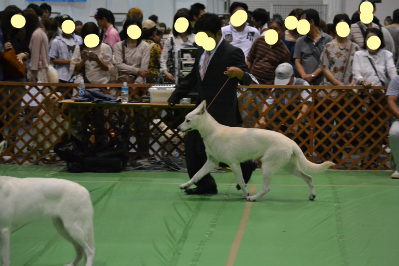f:id:reeyan:20130924094220j:image f:id:reeyan:20130924094220j:image