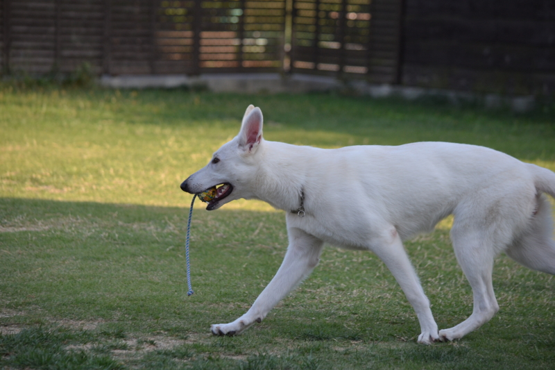 f:id:reeyan:20131014094614j:image