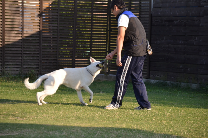 f:id:reeyan:20131014094628j:image
