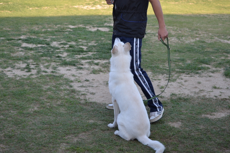 f:id:reeyan:20131014094633j:image
