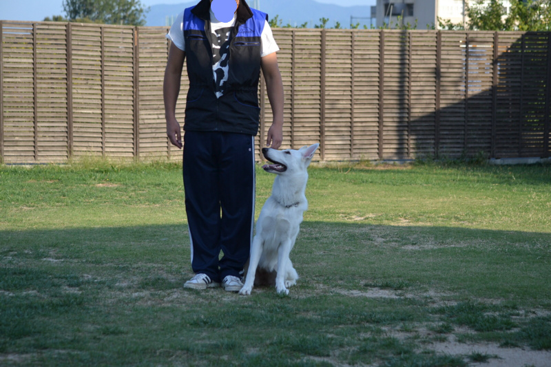 f:id:reeyan:20131014094900j:image