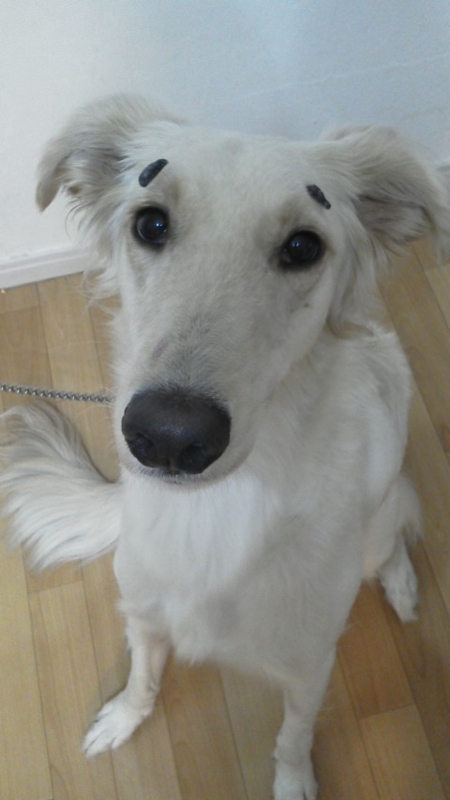 f:id:reeyan:20131028132540j:image f:id:reeyan:20131028132540j:image