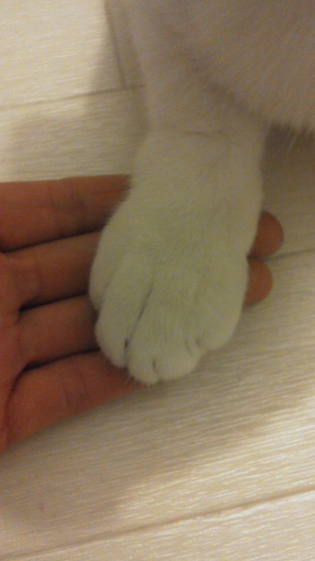 f:id:reeyan:20131028132542j:image f:id:reeyan:20131028132542j:image
