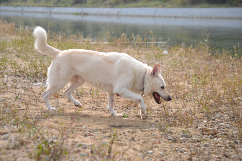 f:id:reeyan:20131106192659j:image f:id:reeyan:20131106192659j:image