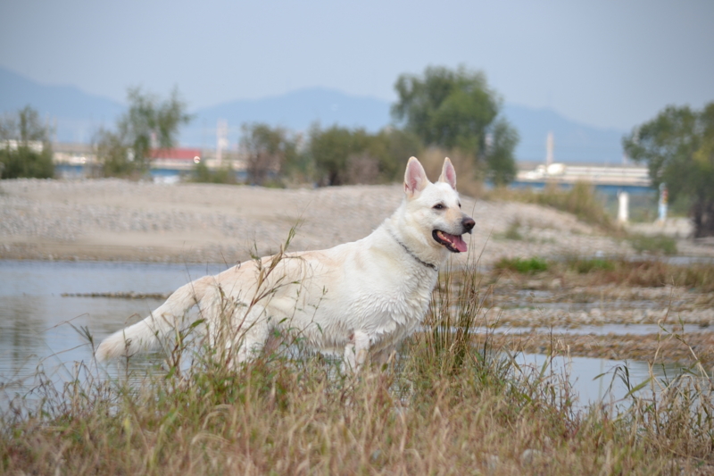 f:id:reeyan:20131106193020j:image f:id:reeyan:20131106193020j:image