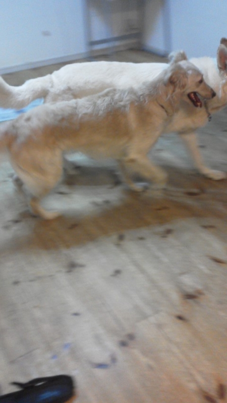 f:id:reeyan:20140521145438j:image f:id:reeyan:20140521145438j:image