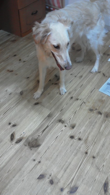 f:id:reeyan:20140521145439j:image f:id:reeyan:20140521145439j:image