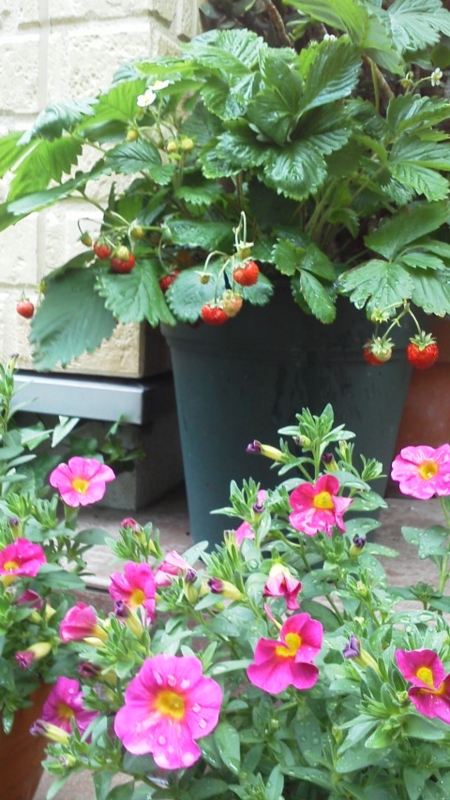 f:id:reeyan:20140521151652j:image f:id:reeyan:20140521151652j:image