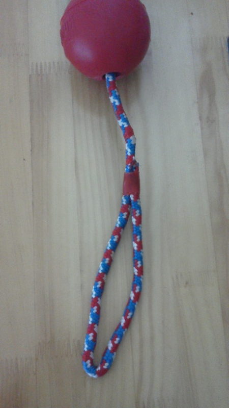 f:id:reeyan:20140531113451j:image f:id:reeyan:20140531113451j:image