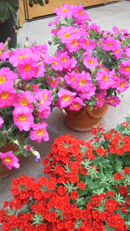 f:id:reeyan:20140531144807j:image f:id:reeyan:20140531144807j:image