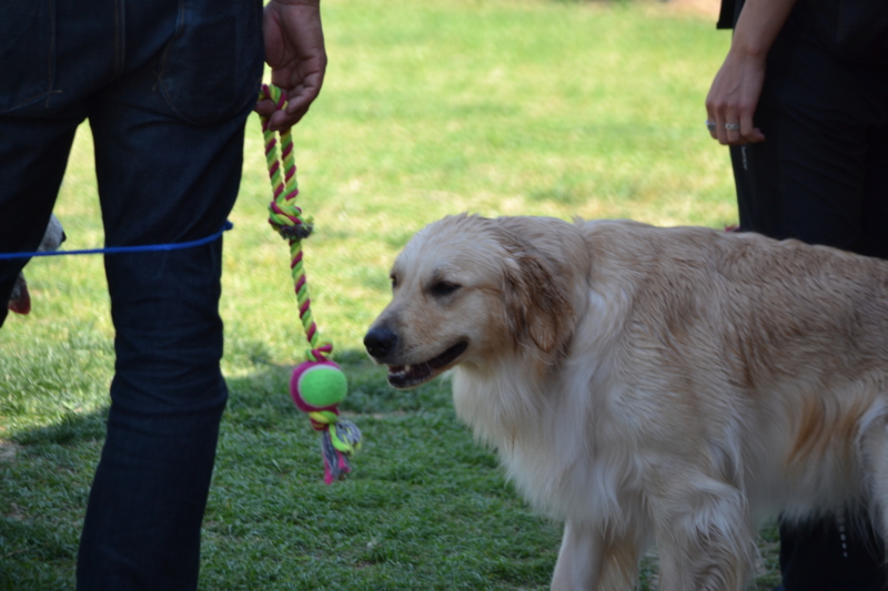 f:id:reeyan:20140601214908j:image f:id:reeyan:20140601214908j:image