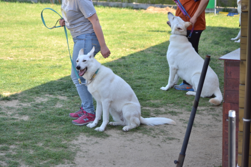 f:id:reeyan:20140601215124j:image f:id:reeyan:20140601215124j:image