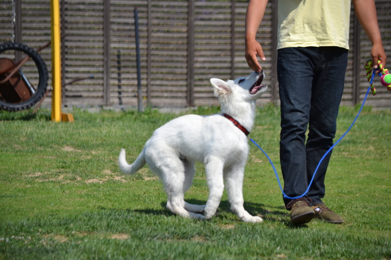 f:id:reeyan:20140601215355j:image f:id:reeyan:20140601215355j:image