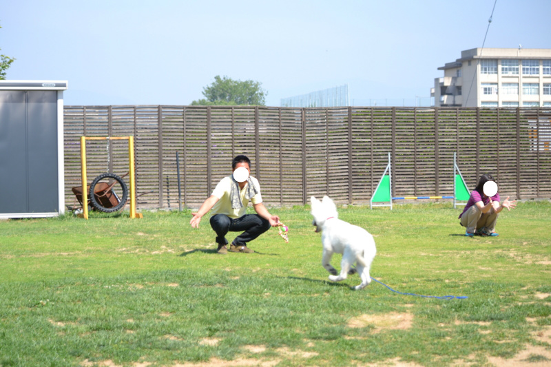 f:id:reeyan:20140601215526j:image f:id:reeyan:20140601215526j:image