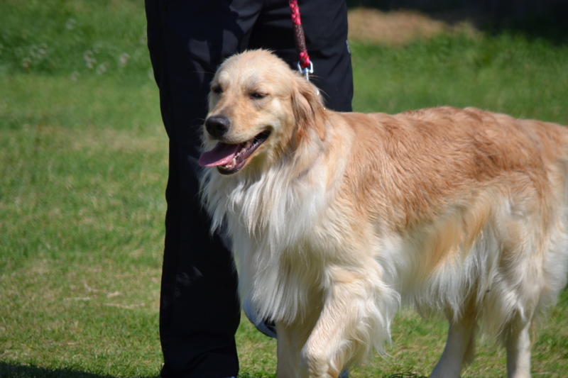 f:id:reeyan:20140601220012j:image f:id:reeyan:20140601220012j:image