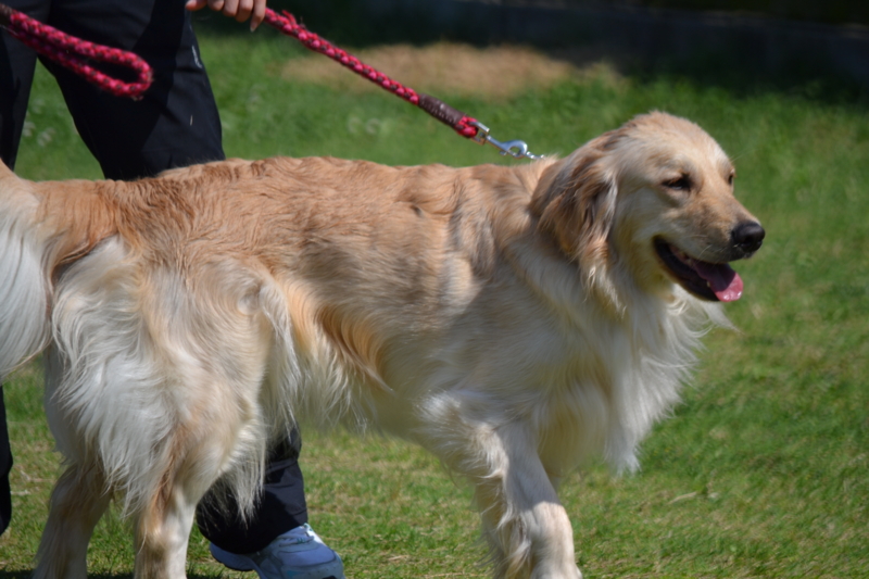 f:id:reeyan:20140601220031j:image f:id:reeyan:20140601220031j:image