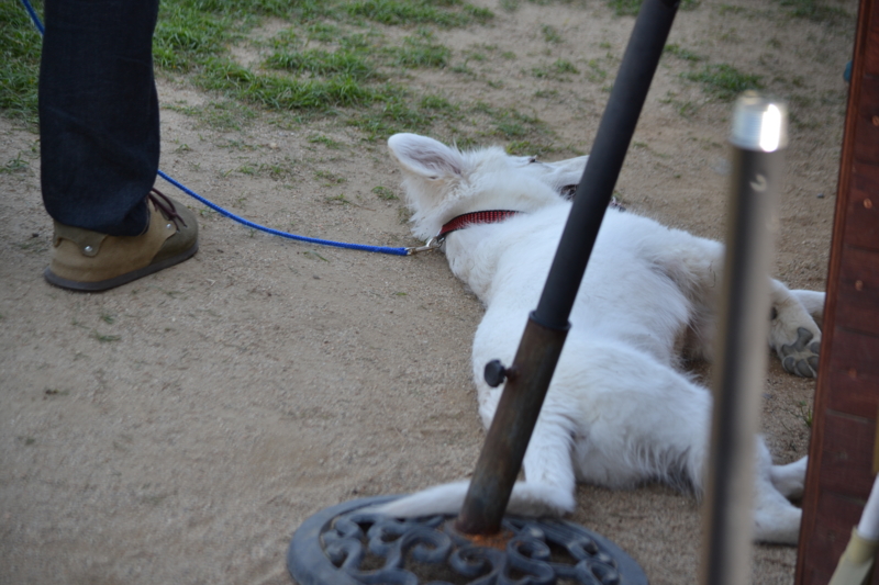 f:id:reeyan:20140601220118j:image f:id:reeyan:20140601220118j:image