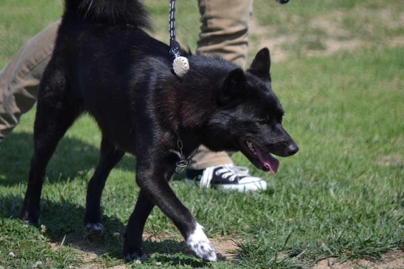 f:id:reeyan:20140601220232j:image f:id:reeyan:20140601220232j:image