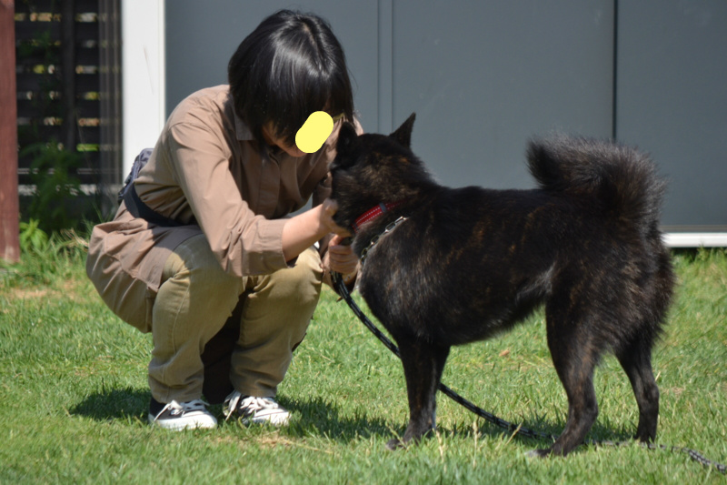 f:id:reeyan:20140601220252j:image f:id:reeyan:20140601220252j:image