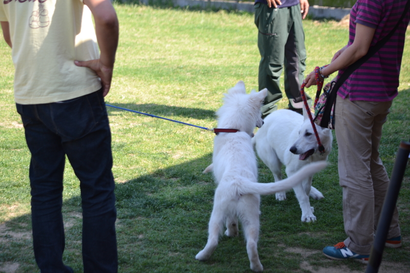 f:id:reeyan:20140601220949j:image f:id:reeyan:20140601220949j:image