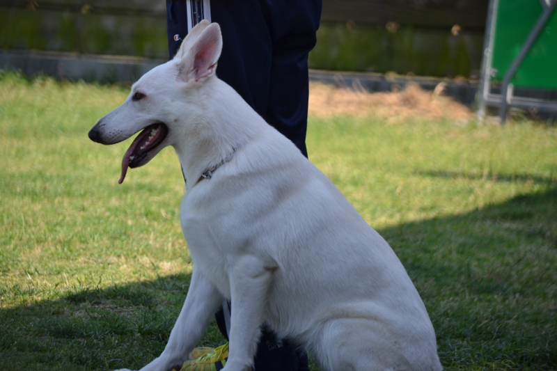 f:id:reeyan:20140601222624j:image f:id:reeyan:20140601222624j:image