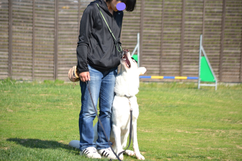 f:id:reeyan:20140602104641j:image f:id:reeyan:20140602104641j:image