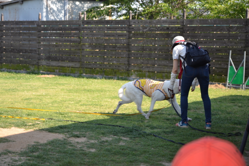 f:id:reeyan:20140602104847j:image f:id:reeyan:20140602104847j:image