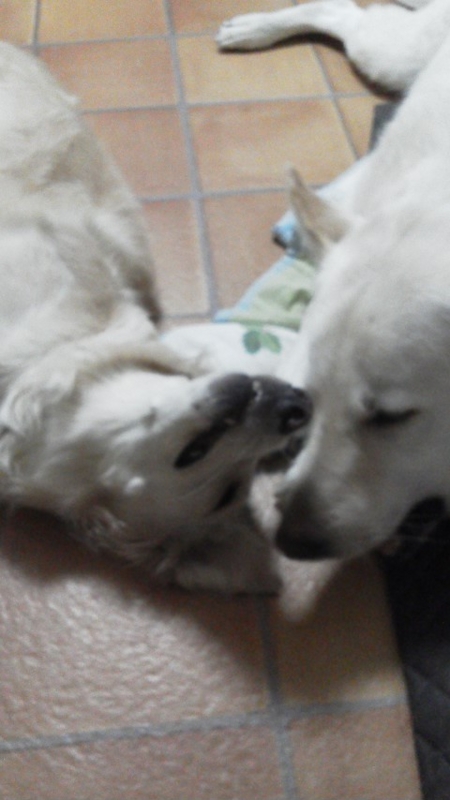 f:id:reeyan:20140619105606j:image f:id:reeyan:20140619105606j:image