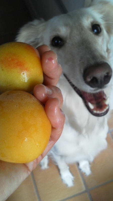 f:id:reeyan:20140705135326j:image f:id:reeyan:20140705135326j:image