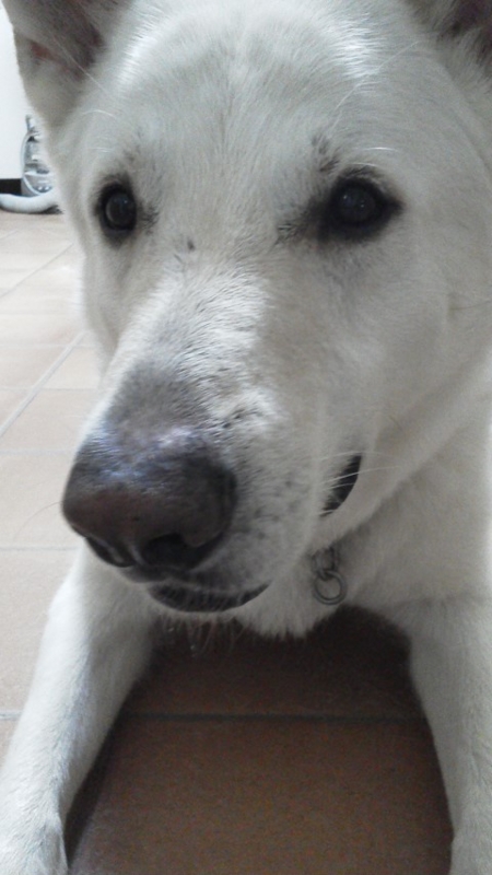 f:id:reeyan:20140705135327j:image f:id:reeyan:20140705135327j:image