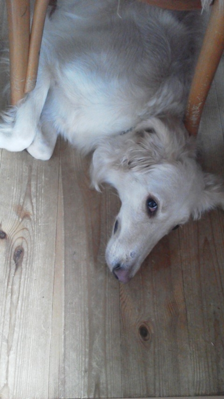 f:id:reeyan:20140708134041j:image f:id:reeyan:20140708134041j:image