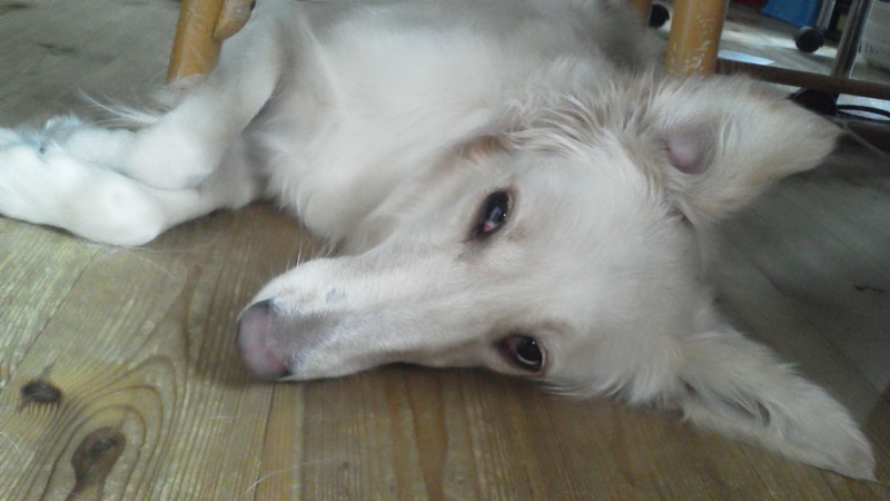 f:id:reeyan:20140708135741j:image f:id:reeyan:20140708135741j:image