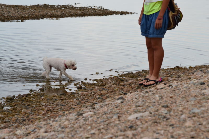 f:id:reeyan:20140901102430j:image f:id:reeyan:20140901102430j:image