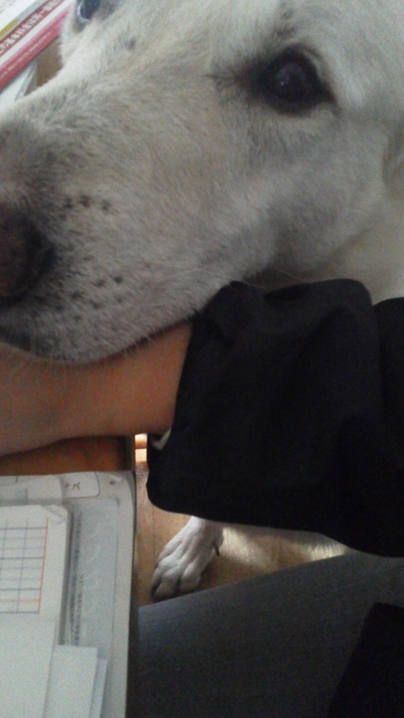 f:id:reeyan:20141212120552j:image f:id:reeyan:20141212120552j:image