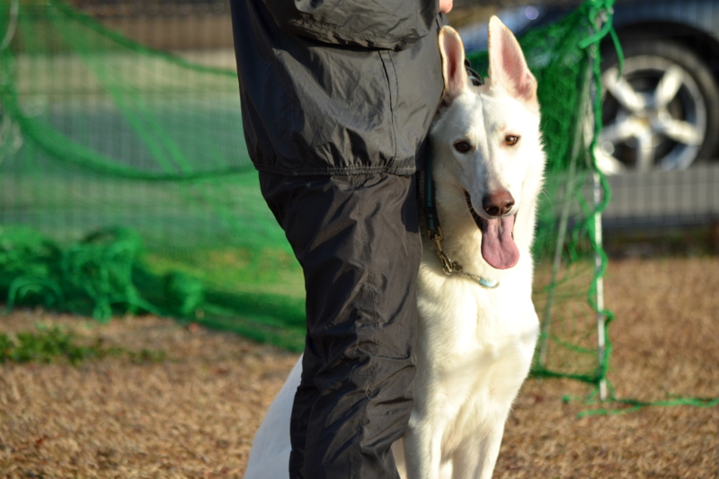 f:id:reeyan:20141222101011j:image f:id:reeyan:20141222101011j:image