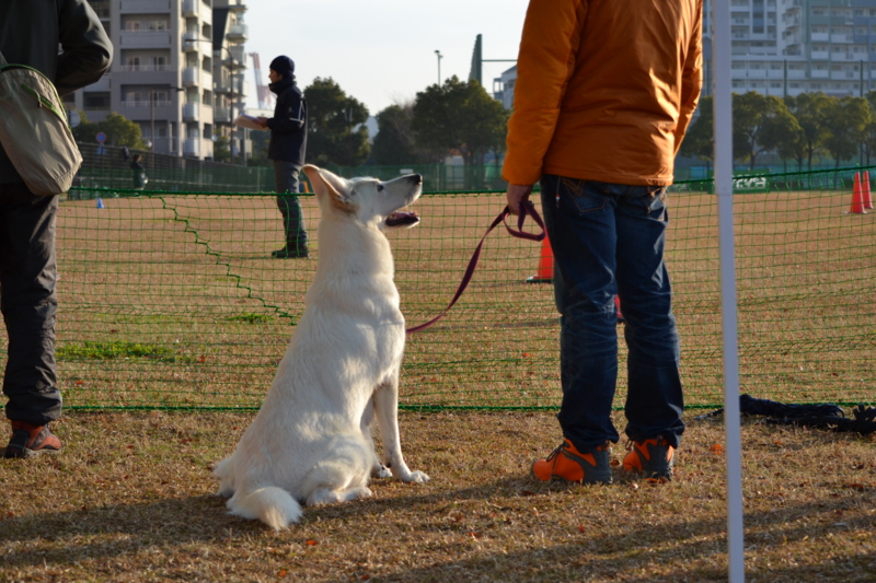 f:id:reeyan:20141222101012j:image f:id:reeyan:20141222101012j:image