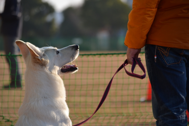 f:id:reeyan:20141222101013j:image f:id:reeyan:20141222101013j:image