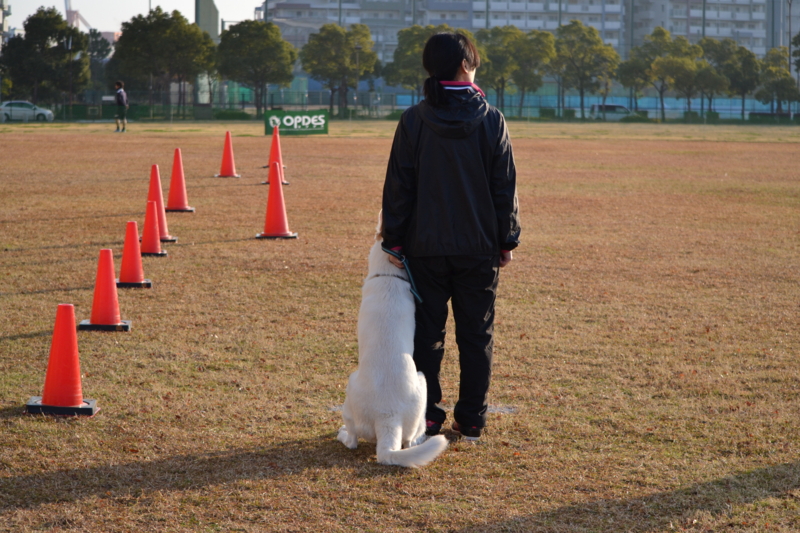 f:id:reeyan:20141222101321j:image f:id:reeyan:20141222101321j:image