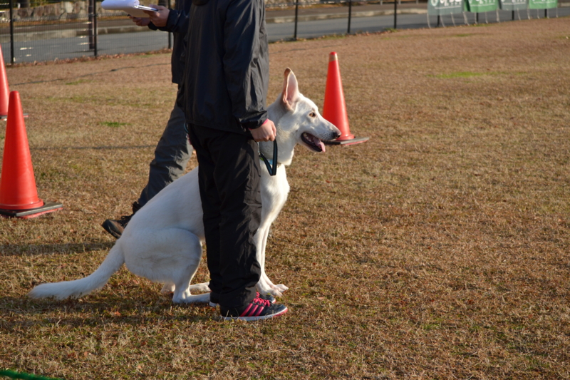 f:id:reeyan:20141222101340j:image f:id:reeyan:20141222101340j:image